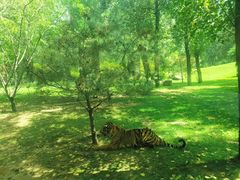 -北京野生动物园