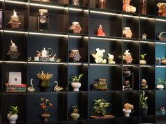 -街角 T·COFFEE 融合料理·BISTRO(车公庙店)