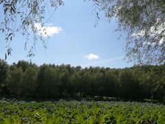 -哈尔滨北方森林动物园