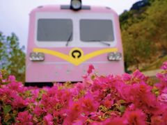 -小南山公园
