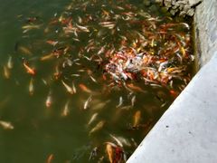 -北戴河圣蓝海洋公园