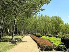 -森林公园(尖草坪区)