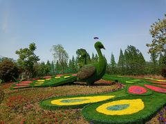 -泗洪洪泽湖湿地景区