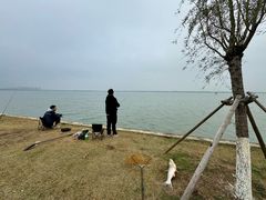-阳澄湖半岛旅游度假区