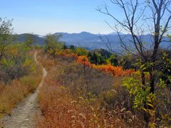 -北京西山国家森林公园