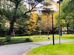 -叶叶菩提·晋福宫