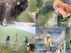 -国家自然博物馆