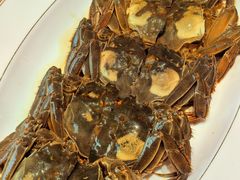 -新光酒家·河豚·海鲜·蟹料理(浦东店)