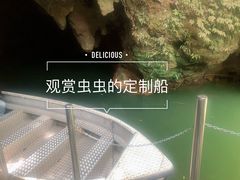 -怀托摩萤火虫洞