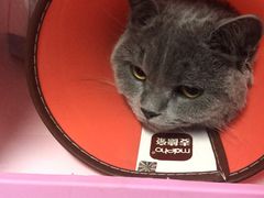 -达爱动物医院·犬猫分区·CT·复杂眼科(远洋山水分院)