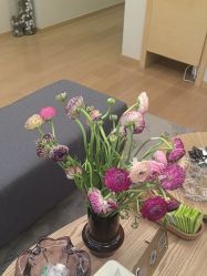 -ROYEA茹彦祛痘·问题肌肤修护中心