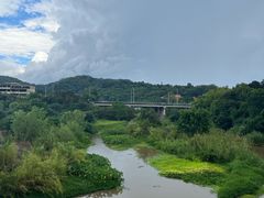 -南宁良凤江国家森林公园