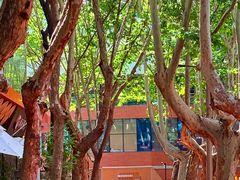 -西安电影制片厂