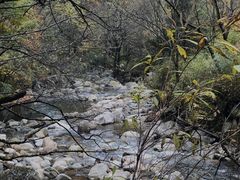 -秦岭风景区
