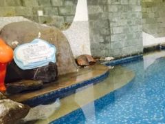 -晋爵会游泳馆(海湾公园店)