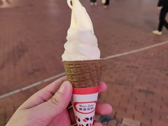 -富豪雪糕车流动点(尖沙咀店)