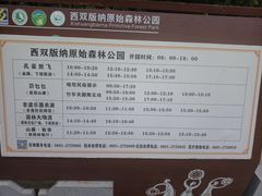 -西双版纳原始森林公园