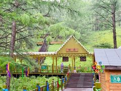 -莫尔道嘎国家森林公园