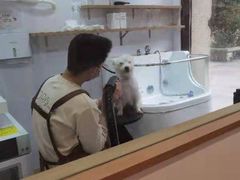 -佐罗家宠物馆·猫文化馆(紫霞路店)