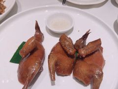 -茉里粤菜(皇姑万象汇店)