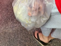 -大连熟食品交易中心