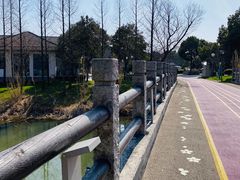 -贡湖湾湿地公园