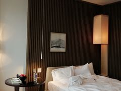 -上海柏悦酒店