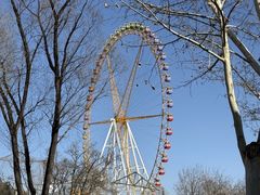 -石家庄市动物园