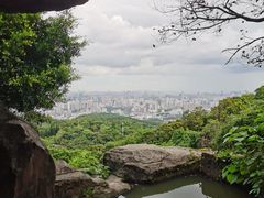 -广州市白云山风景名胜区