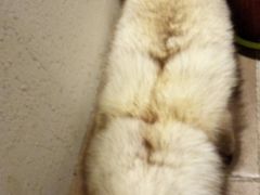 -百事晟渔村木火铁锅炖(玉带湾店)