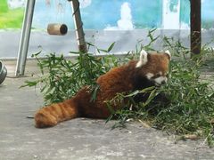 -柳州市动物园