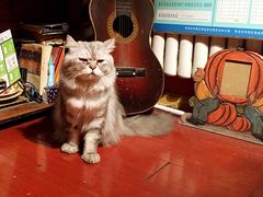 -长颈鹿咖啡(大学路店)