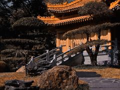 -深圳国际园林花卉博览园