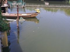 -水岸居湖景农家乐·阳澄湖大闸蟹