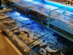 水产区-达利世纪酒店-莉庭自助西餐厅