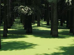 -青山湖景区