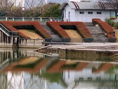 -白塘生态植物园