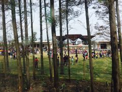 -上海长兴岛郊野公园