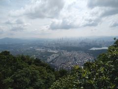 -梧桐山风景名胜区