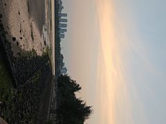 -万绿园