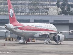 -空港花田景区