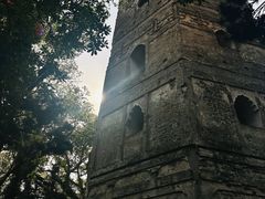 -江心屿景区