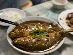 红烧大黄花-华春餐馆(鱼山路店)
