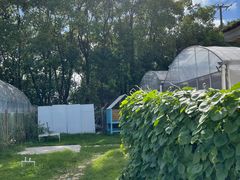 -美家乐农庄·露营·团建(大治路店)