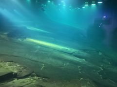 -白鹤梁水下博物馆