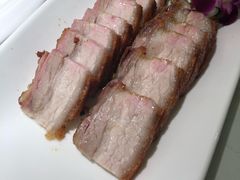 -南枝记