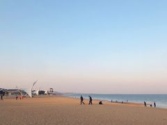 -日照海滨国家森林公园