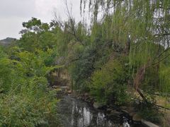 -白马涧龙池景区
