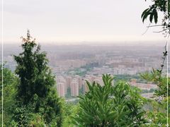 -杭州半山国家森林公园