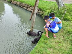 -乌村